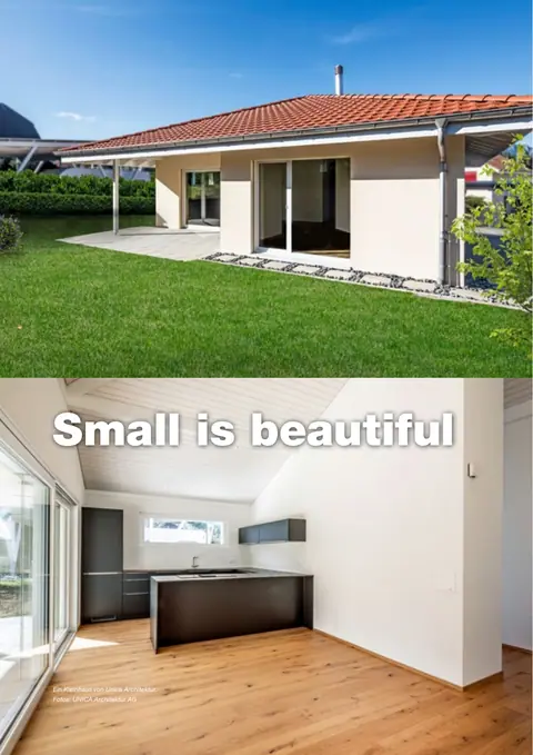 Thema Kleinhaus
